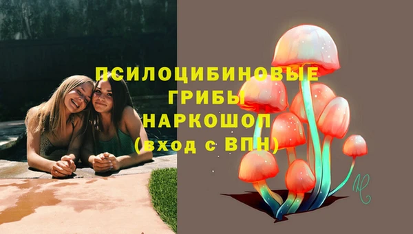герыч Осинники