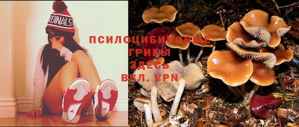 кокаин премиум Осташков