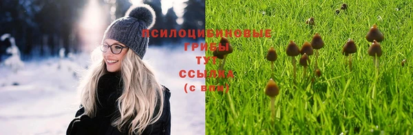 МДПВ Нягань