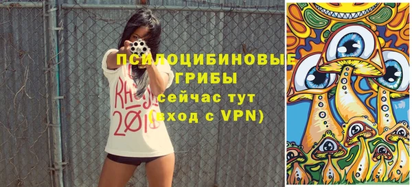 герыч Осинники