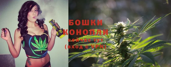 трава Бикин
