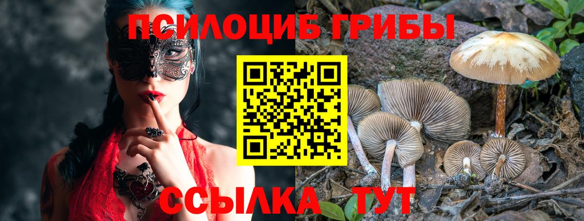 Галлюциногенные грибы мухоморы  Вход с VPN  Верхняя Салда 