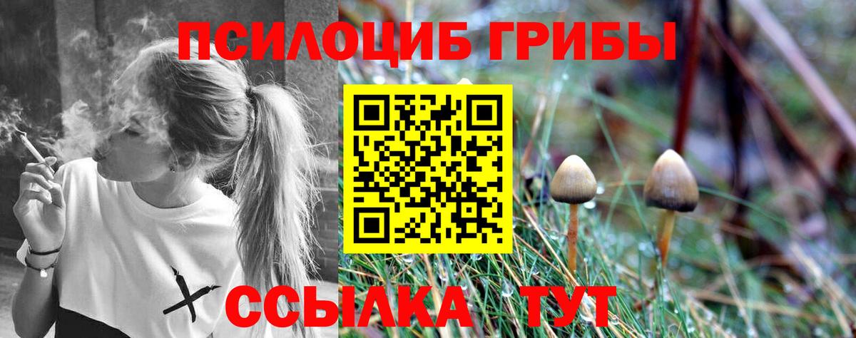 Галлюциногенные грибы мухоморы Верхняя Салда