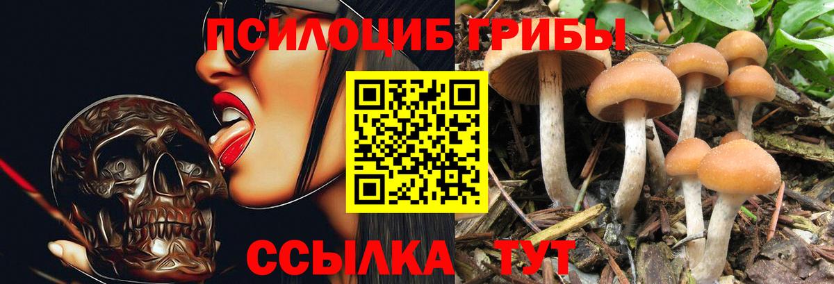 Псилоцибиновые грибы GOLDEN TEACHER Верхняя Салда