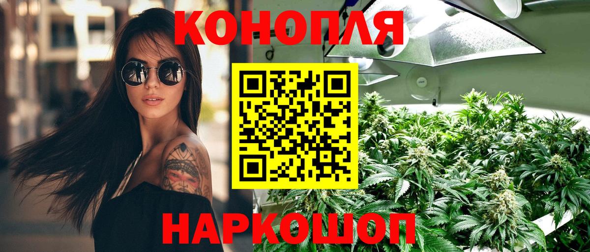 МАРИХУАНА OG Kush  Марихуана индика  Каннабис сатива  Верхняя Салда 